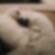 Camilo_7