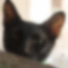 Effy_