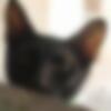 Effy_