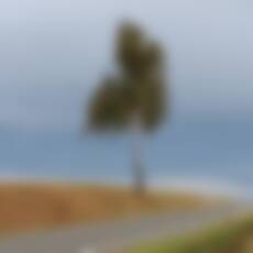 goddess_of_autumn • Penpal-Gate