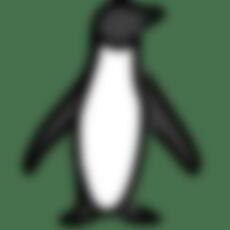 lsqx