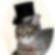 MrCat