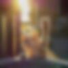 stray_boy