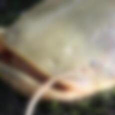 Toboga