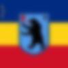 Ursul_Romanesc