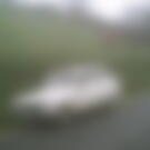 Vaca