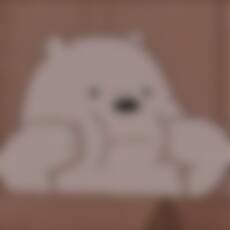 rn_zzz