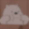 rn_zzz